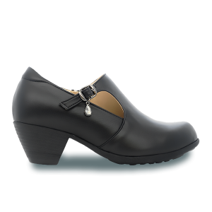 Dazzling Ladies Shoes