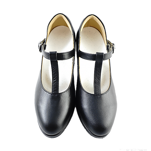 Elegant Ladies Shoes