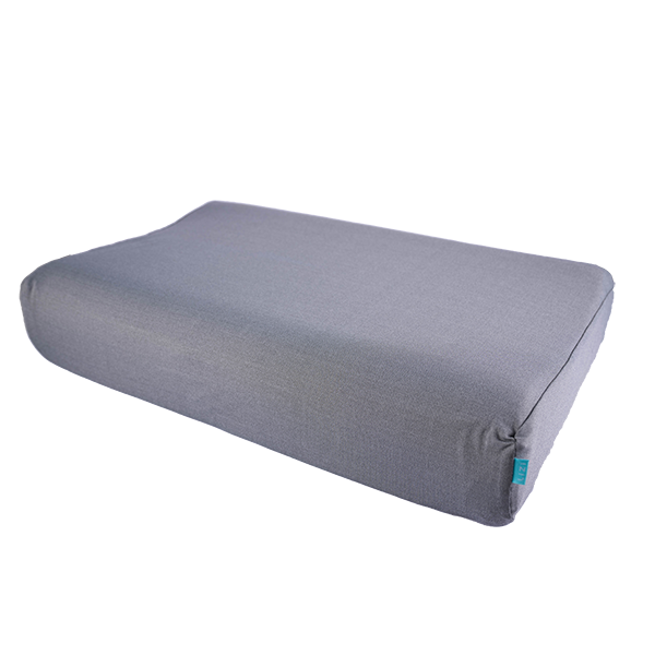 LiZi TFE Graphene Thermal Pillow Set